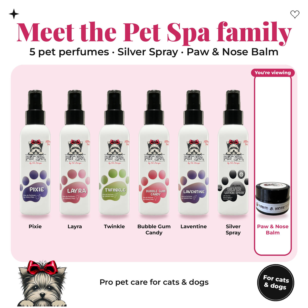 Meet the Pet Spa family