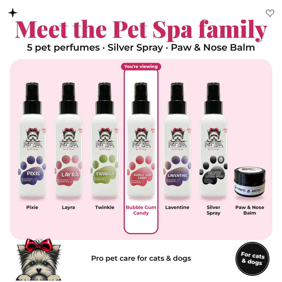 Meet the Pet Spa family