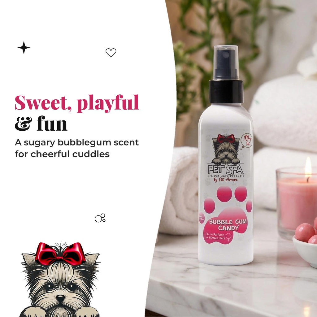 PET SPA Bubble Gum Candy – sweet, playful & fun