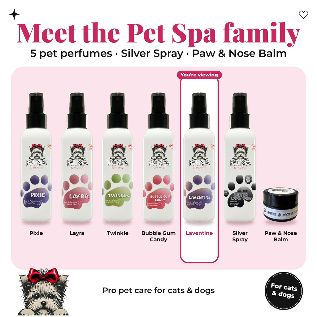 Meet the Pet Spa family