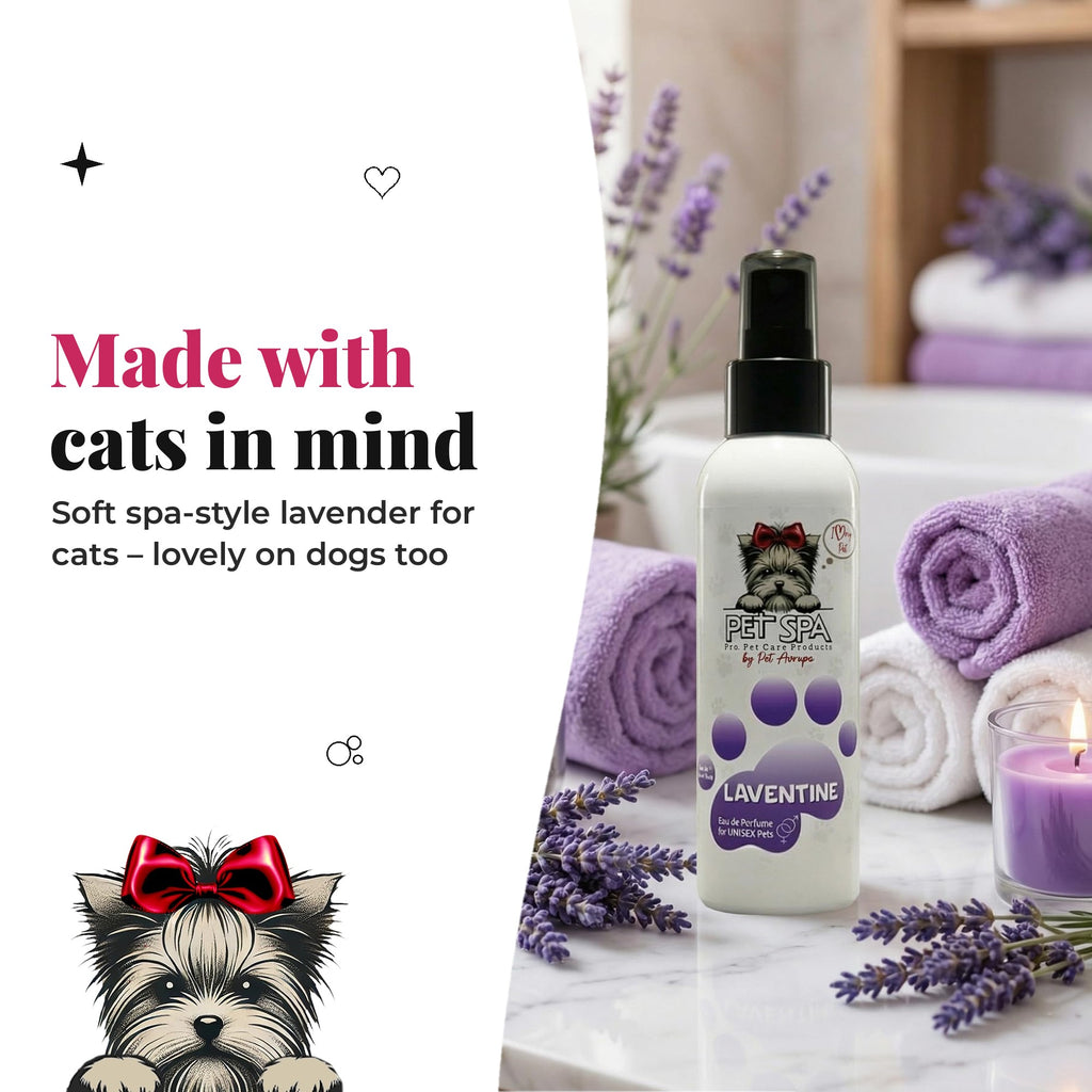 PET SPA Laventine – made with cats in mind