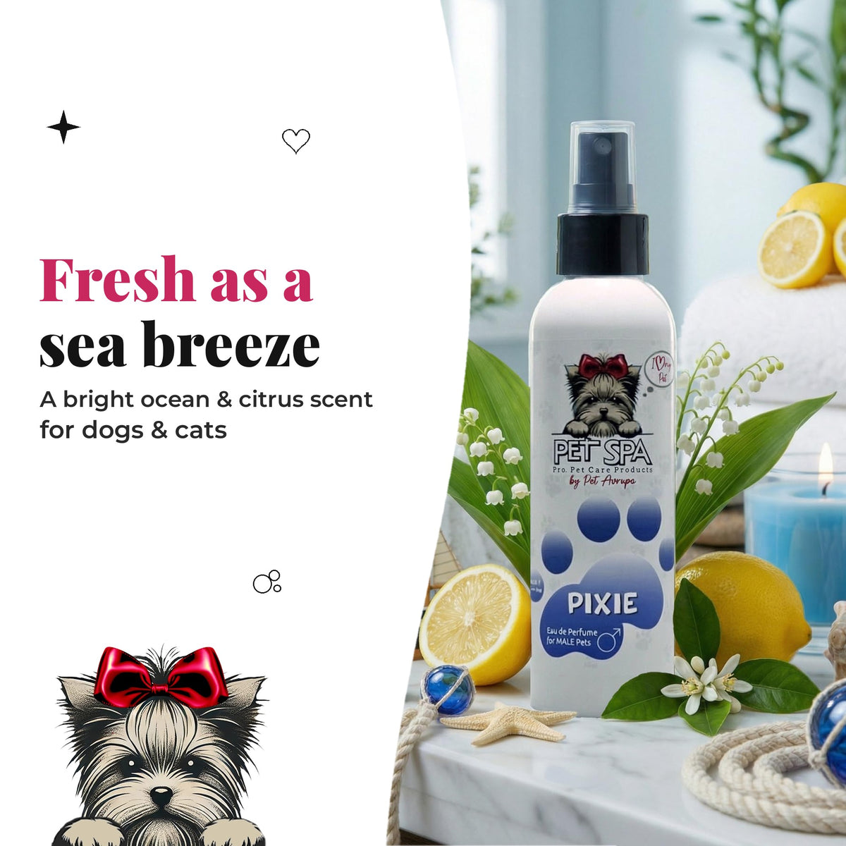 PET SPA Pixie – fresh as a sea breeze
