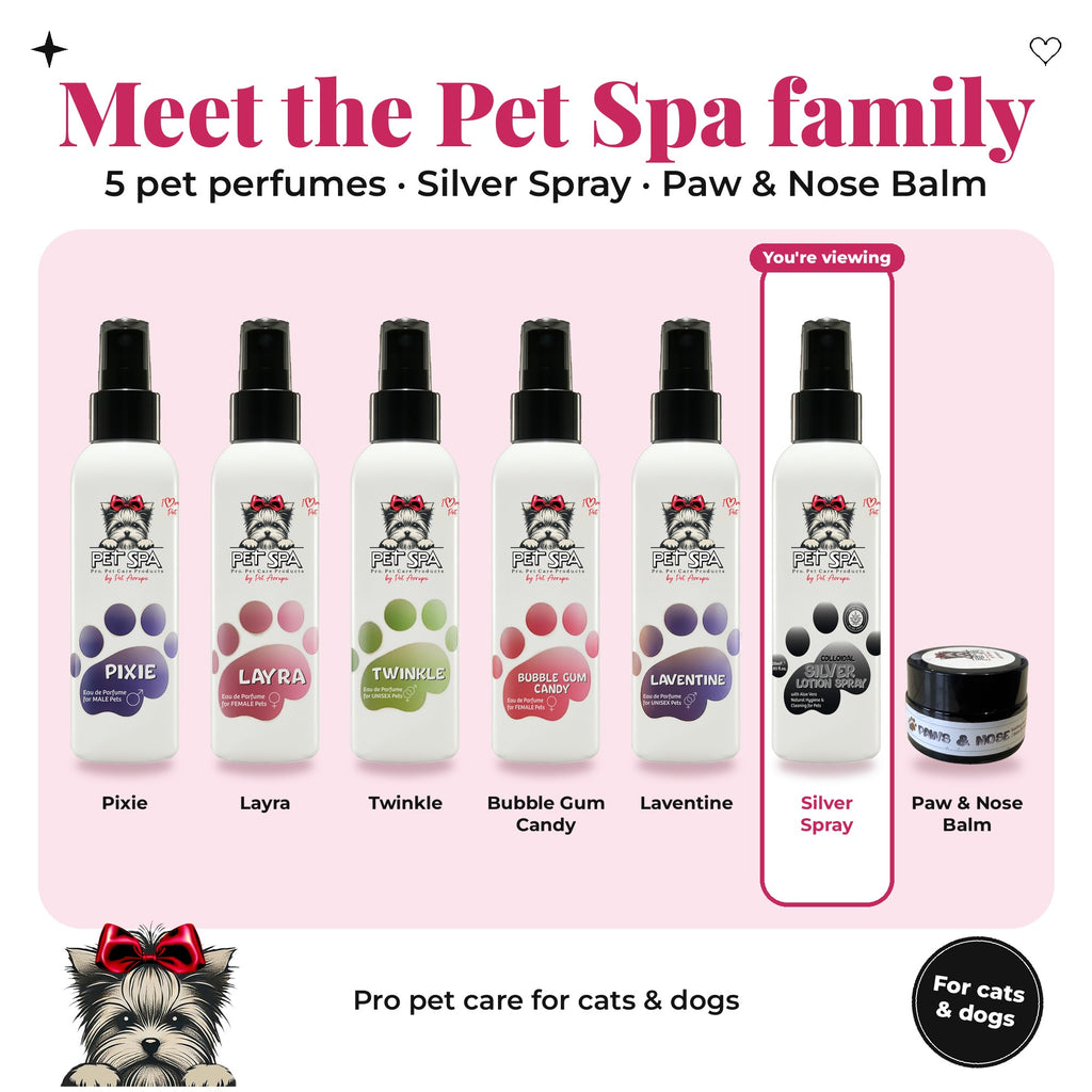Meet the Pet Spa family