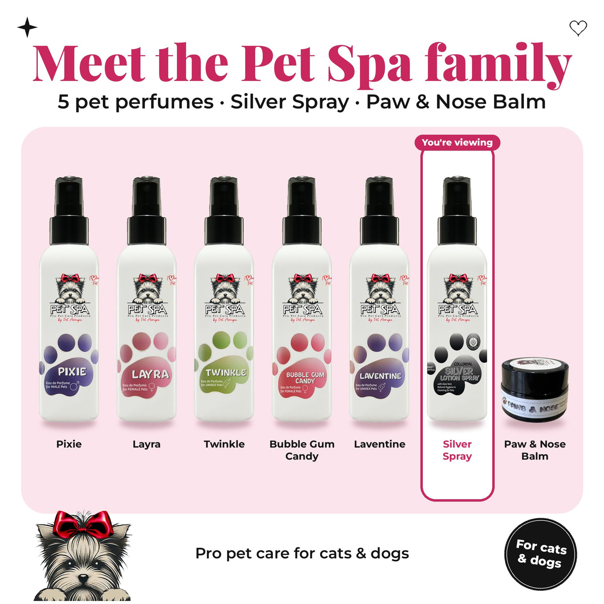 Meet the Pet Spa family